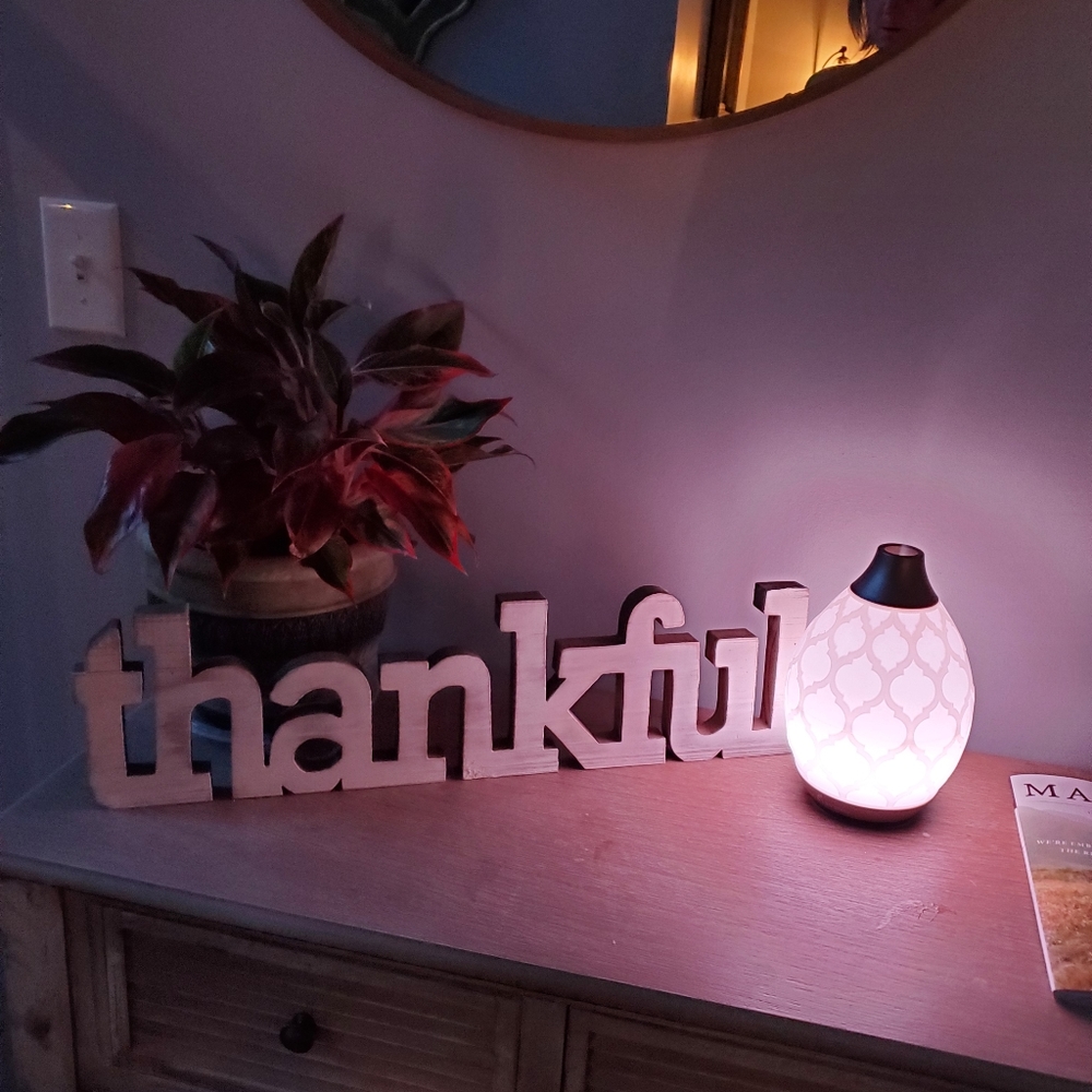 Young Living Desert Mist Diffuser/ ChristmasSpirit